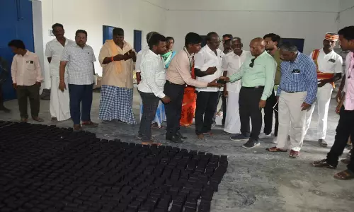 வல்லம் ஒன்றியத்தில்  தோட்டக்கலைத்துறை வளர்ச்சி பணிகள்: கலெக்டர் பழனி ஆய்வு