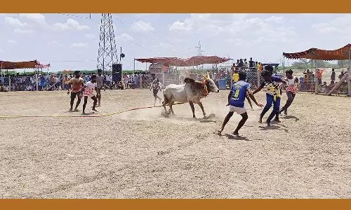 வடமாடு மஞ்சுவிரட்டு