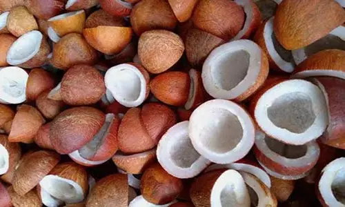 ரூ.1 கோடியே 46 லட்சத்துக்கு கொப்பரை ஏலம்