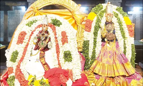 திருவானைக்காவல் ஜம்புகேஸ்வரர்-அகிலாண்டேஸ்வரி கோவிலில் வசந்த உற்சவ விழா