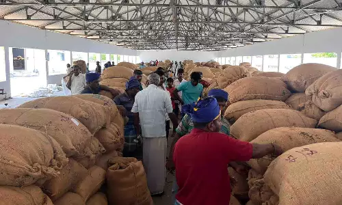 வெள்ளக்கோவில் ஒழுங்குமுறை விற்பனை கூடத்தில் ரூ. 28.33 லட்சத்துக்கு சூரியகாந்தி விதை விற்பனை