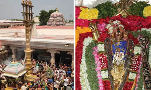 திருச்செங்கோடு அர்த்தநாரீஸ்வரர் கோவில் வைகாசி விசாகத் தேர்திருவிழா