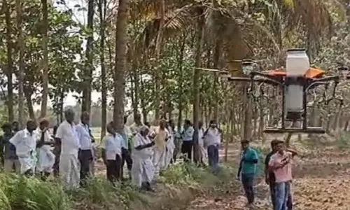 டிரோன் மூலம் விதை, உரம், பூச்சி மருந்து தெளிப்பு