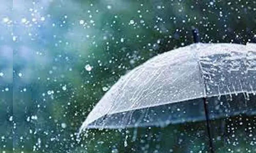 கோத்தகிரியில் பலத்த மழை