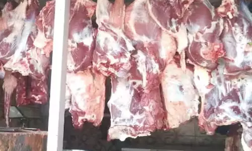 சேலத்தில் 65 கிலோ இறைச்சி பறிமுதல்