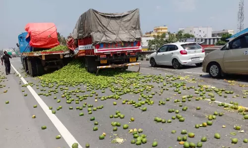 லாரி மீது  மாங்காய் பாரம் ஏற்றிச்சென்ற மினி லாரி மோதி விபத்து