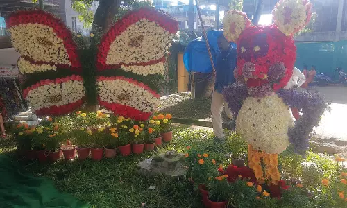 வால்பாறையில் கோடை விழா தொடங்கியது- சுற்றுலா பயணிகள் கண்டு ரசித்தனர்