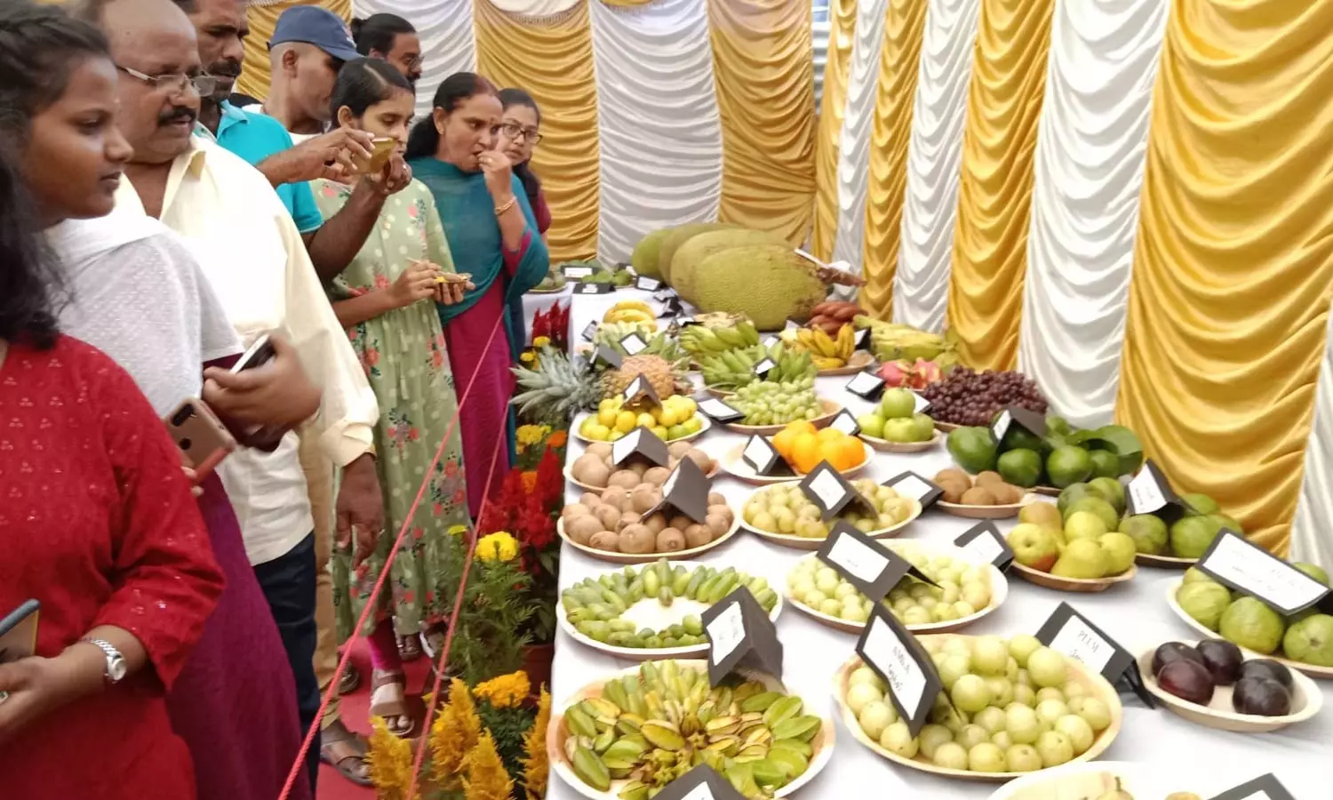 குன்னூரில் இன்று பழக்கண்காட்சி தொடங்கியது- பழங்களால் வடிவமைக்கப்பட்ட விலங்குகளின் உருவங்கள்