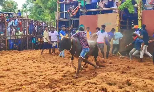 தா.பழூர் அருகே ஜல்லிக்கட்டு போட்டி