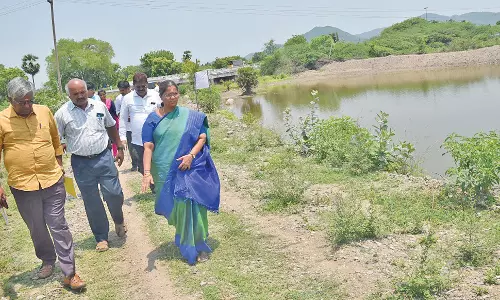 கீழக்கரை பகுதியில் வரத்துவாரிகள் தூர்வாரும் பணிகள்-கலெக்டர் கற்பகம் நேரில் ஆய்வு