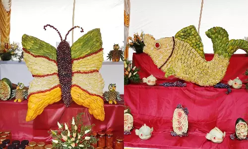 குன்னூரில் இன்று பழக்கண்காட்சி தொடங்கியது- பழங்களால் வடிவமைக்கப்பட்ட விலங்குகளின் உருவங்கள்