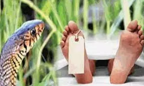 குளித்தலை அருகே பாம்பு கடித்து தொழிலாளி சாவு