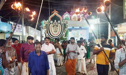 வைகாசி விசாக 3-ம் திருவிழாவையொட்டி அன்ன வாகனத்தில் பகவதி அம்மன் வீதி உலா