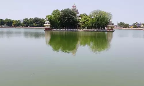 கழிவுநீர்-குப்பைகள் தேங்கி துர்நாற்றம் வீசும் தெப்பக்குளம்