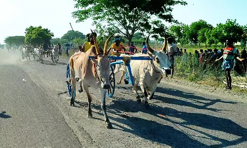 விளாத்திகுளம் அருகே மாட்டுவண்டி பந்தயம்