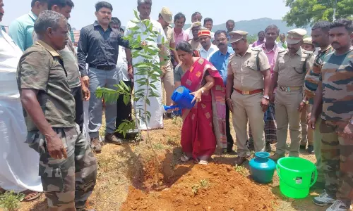 ஈச்சம்பள்ளம் பகுதியில்   தொங்கும் சூரியமின்வேலியை ஆய்வு செய்த கலெக்டர்