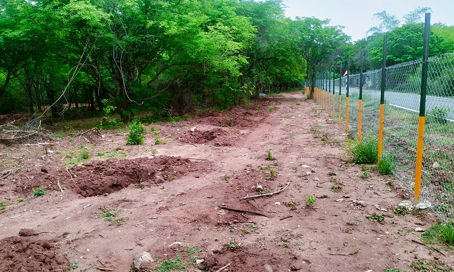 25 ஏக்கரில் சிறுமலை அடிவாரத்தில் சுற்றுச்சூழல் பூங்கா 25 ஏக்கரில் சிறுமலை அடிவாரத்தில் சுற்றுச்சூழல் பூங்கா