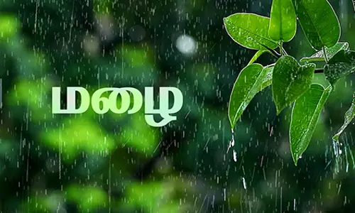 தேனி மாவட்டத்தில் மீண்டும் மழை