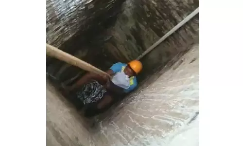 கிணற்றில் தவறி விழுந்த பூனை உயிருடன் மீட்பு