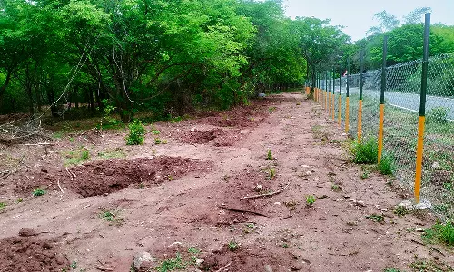 25 ஏக்கரில் சிறுமலை அடிவாரத்தில் சுற்றுச்சூழல் பூங்கா