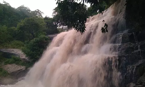 மேகமலை அருவியில் வெள்ளப்பெருக்கு