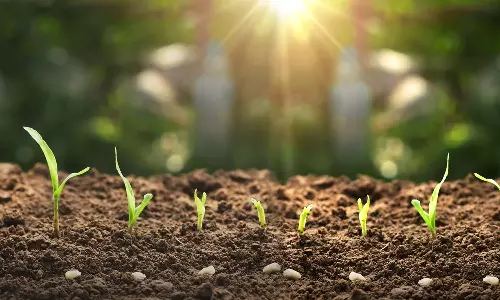 விவசாயிகள் தங்கள் வயல்களில் வண்டல் மண் இட்டு அதிக மகசூல் பெறலாம் - வேளாண் அதிகாரி ஆலோசனை