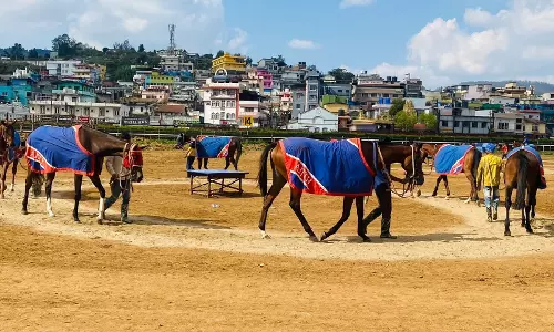 ஊட்டி குதிரை பந்தயம் நிறைவு