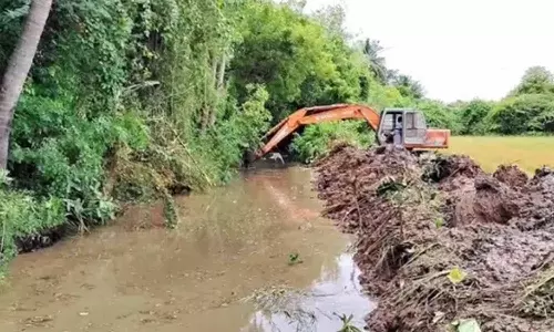 2 பாசன வடிகால் வாய்க்கால்கள் தூர்வாரும் பணி தொடக்கம்