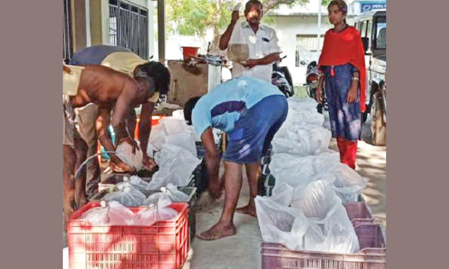 அணை மீனுக்கு அதிகரிக்கும் மவுசு: மேட்டூரில் இருந்து கேரளாவுக்கு சென்ற 15 லட்சம் மீன்குஞ்சுகள்