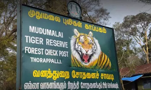 உடுமலை வனப்பகுதியில் வனவிலங்குகள் கணக்கெடுப்பு பணி நிறைவு