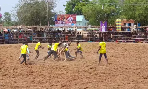 கோவில் திருவிழாவை முன்னிட்டு குரும்பூர்கோவில்பட்டியில் வடமஞ்சுவிரட்டு போட்டி
