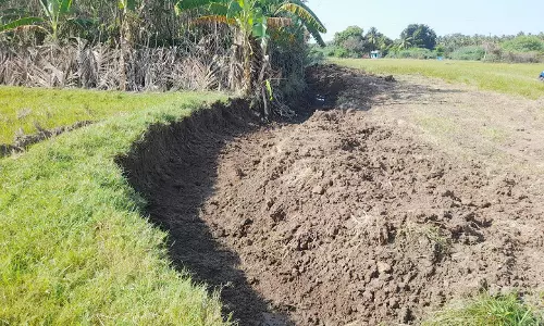 பாசன கால்வாயை போர்க்கால அடிப்படையில் தூர்வார விவசாயிகள் கோரிக்கை