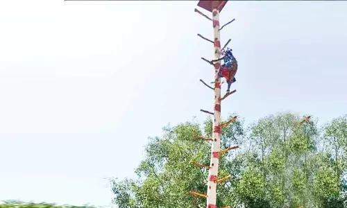 அர்ஜுனன் தபசு நிகழ்ச்சி