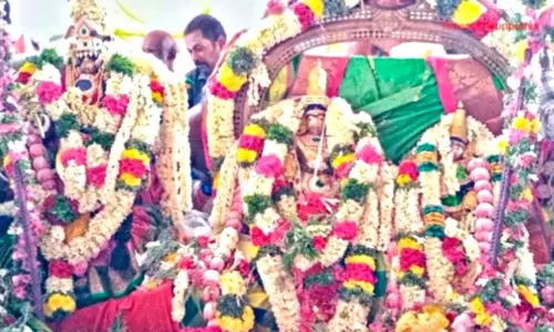 திருத்தளிநாதர் கோவில் திருக்கல்யாண உற்சவம்