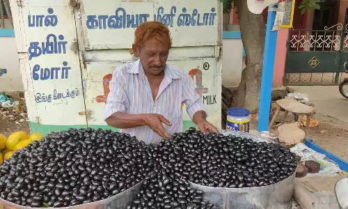 உடுமலை பகுதிகளில் ரூ.400க்கு நாவல்பழம் விற்பனை