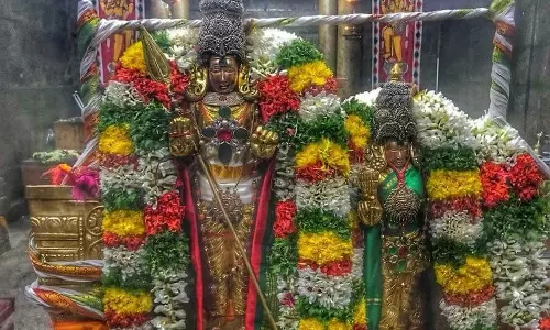 திருப்பரங்குன்றம் கோவிலில் சண்முகப்பெருமானுக்கு 2-ந்தேதி பாலாபிஷேகம்