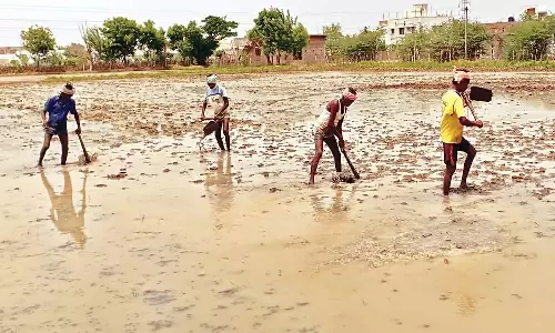 ஜூன் 12-ந்தேதி மேட்டூர் அணை திறப்பு; கோடை உழவு பணியில் விவசாயிகள் மும்முரம்