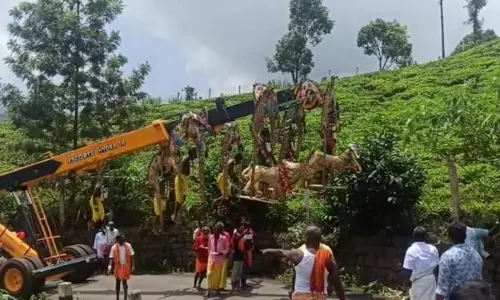 கோத்தகிரி பாலமுருகன் கோவில் திருவிழா-பறவை காவடி எடுத்து வந்த பக்தர்கள்