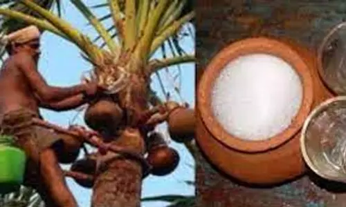 பனை மற்றும் தென்னை கள்  விற்பனையை அனுமதிக்க வேண்டும்-கலெக்டரிடம் இந்து மக்கள் கட்சி மனு