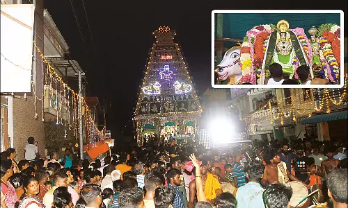 பாடலீஸ்வரர் கோவிலில் தெருவடைச்சான் உற்சவம்: திரளான பக்தர்கள் சாமி தரிசனம்