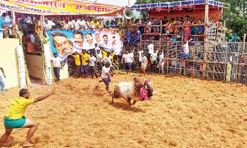 உலிபுரத்தில் ஜல்லிக்கட்டு போட்டி- சீறிவந்த காளைகளுடன் மல்லுக்கட்டிய மாடுபிடி வீரர்கள்