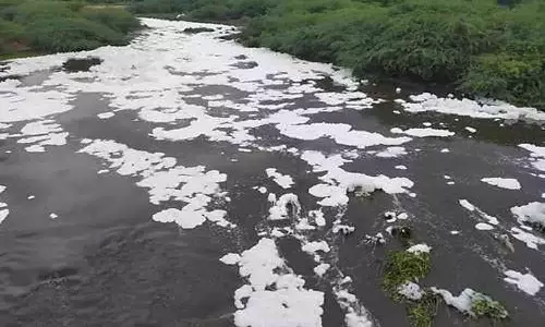 நொய்யல் ஆற்றில் சாயக்கழிவு நீர் கலப்பதாக புகார்