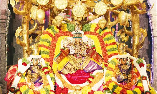 பிரம்மோற்சவ விழா 4-வது நாள்: கற்பக விருட்ச வாகனத்தில் கோவிந்தராஜசாமி வீதிஉலா