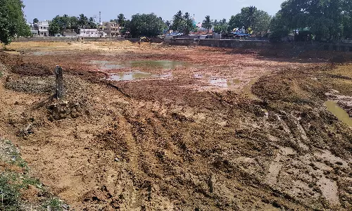 புதுப்பொலிவுடன் காட்சியளிக்கும் சுப்பையார்குளம்