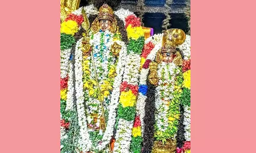 சுப்பிரமணிய சுவாமி கோவிலில் வைகாசி விசாக திருவிழா