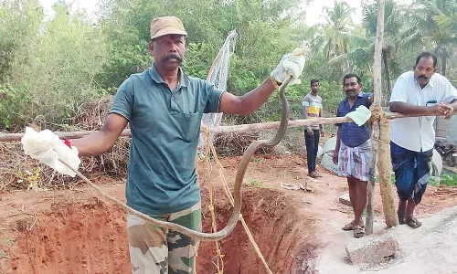 குளச்சல் அருகே 20 அடி ஆழ கிணற்றில் தவறி விழுந்த பாம்பு மீட்பு