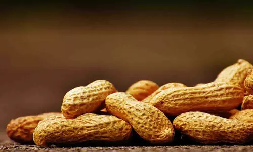 சேவூா் ஒழுங்குமுறை விற்பனைக்கூடத்தில் ரூ.3.20 லட்சத்துக்கு நிலக்கடலை ஏலம்