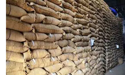 தருமபுரியில்  வாணிப  குடோனில் வைத்திருந்த ரூ.60 லட்சம் மதிப்புள்ள  7 ஆயிரம் நெல் மூட்டைகள் மாயம்