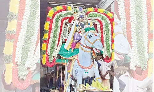 அமிர்தகடேஸ்வரர் கோவிலில் குதிரை வாகனத்தில் முருகன் வீதி உலா