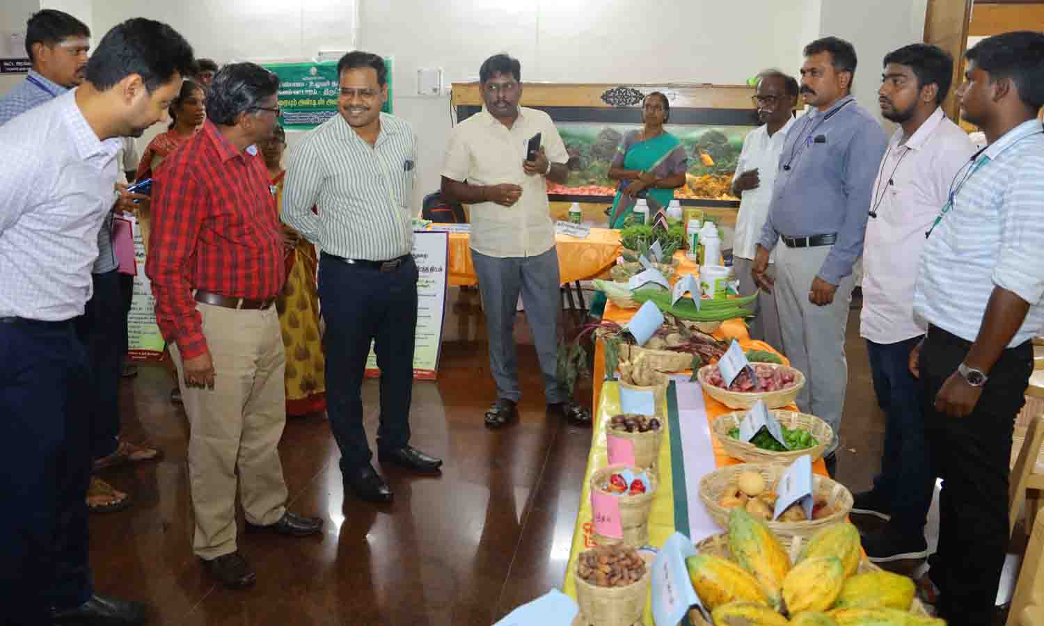 நெல் சாகுபடிக்கு தேவையான உரங்கள், தேவையான அளவு இருப்பில் உள்ளது - கலெக்டர் தகவல்